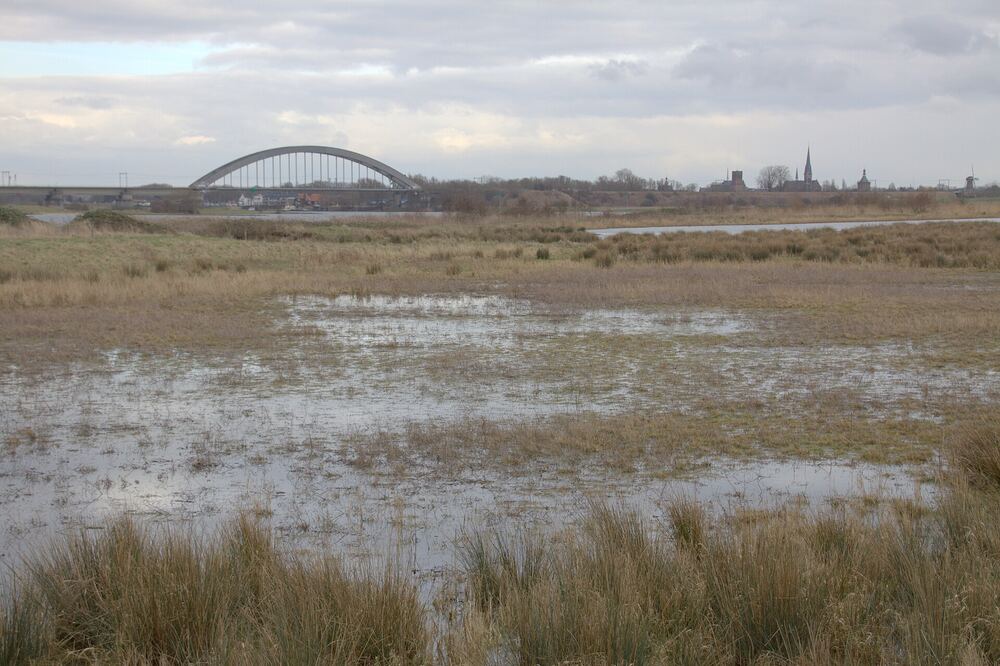 De uiterwaarden bij Culemborg met de spoorbrug over de Lek en het stadssilhouet aan de horizon
