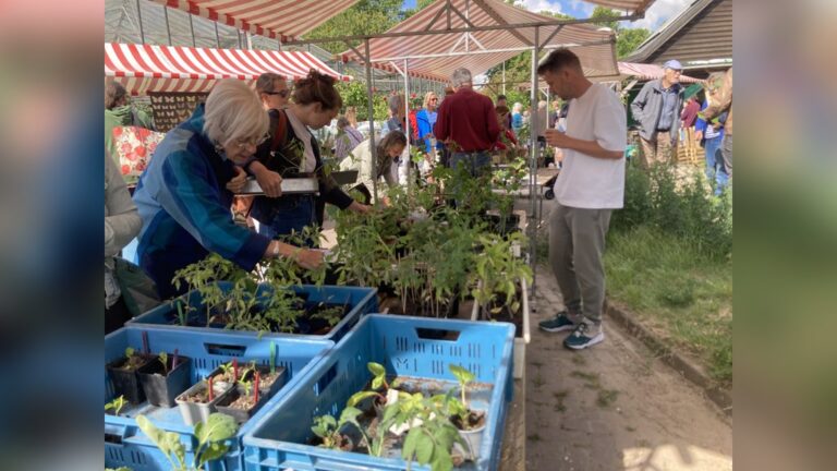 Plantjesruilmarkt — markt-eten in Culemborg